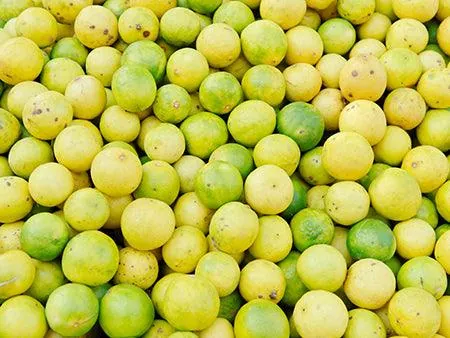 Lemon fresh from KP Exporters partner farms