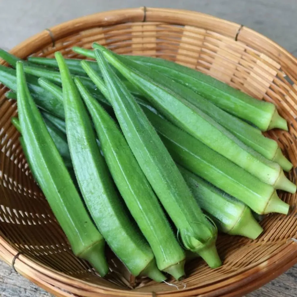 Okra (Lady Finger) fresh from KP Exporters partner farms