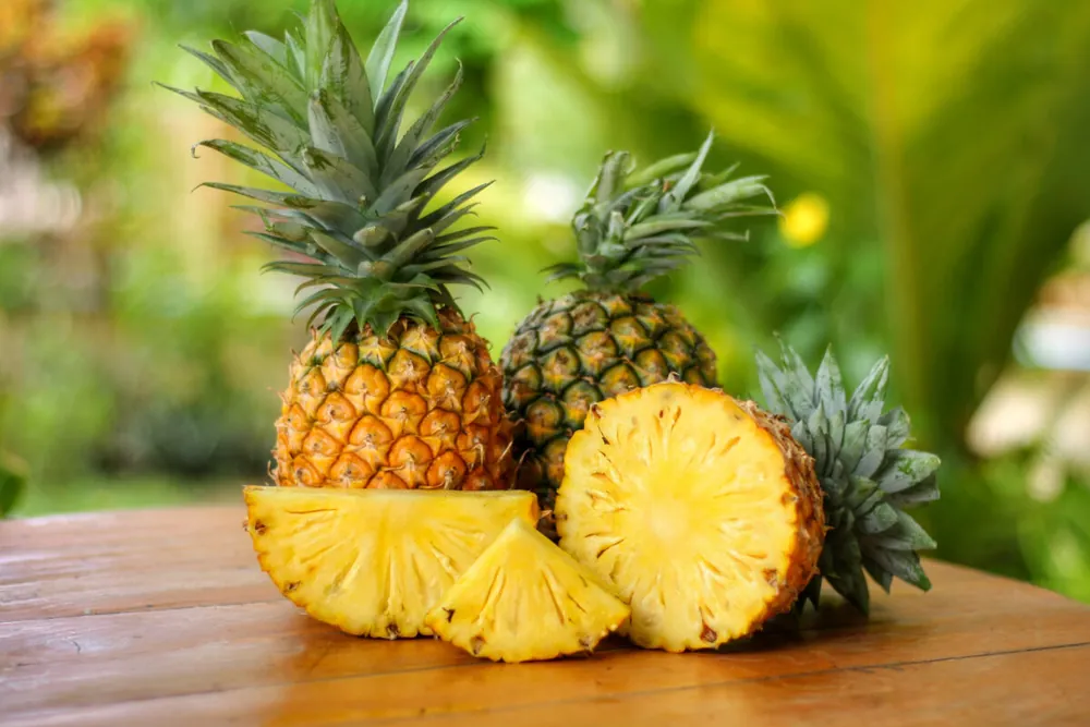 Pineapple fresh from KP Exporters partner farms